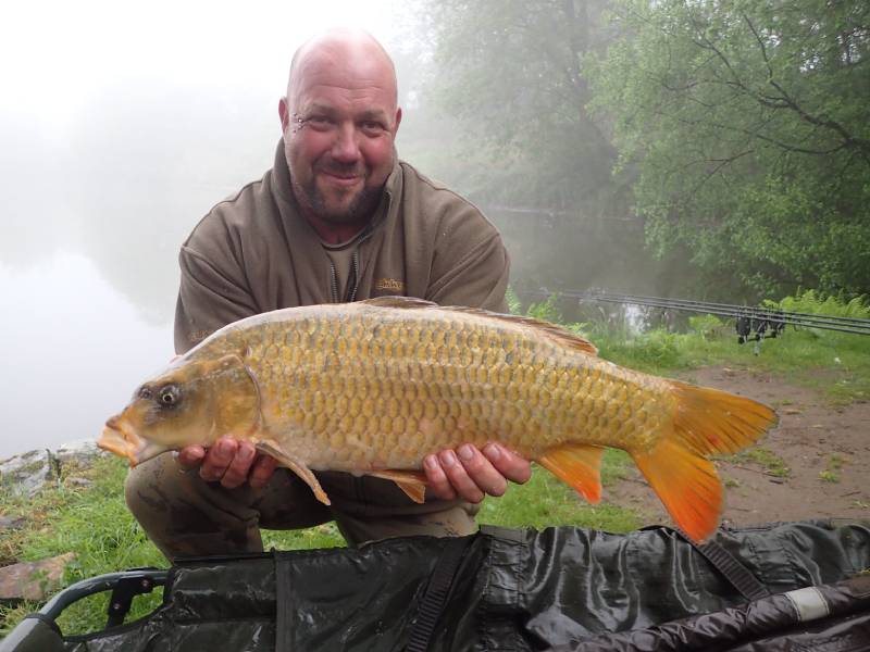 Carp-1