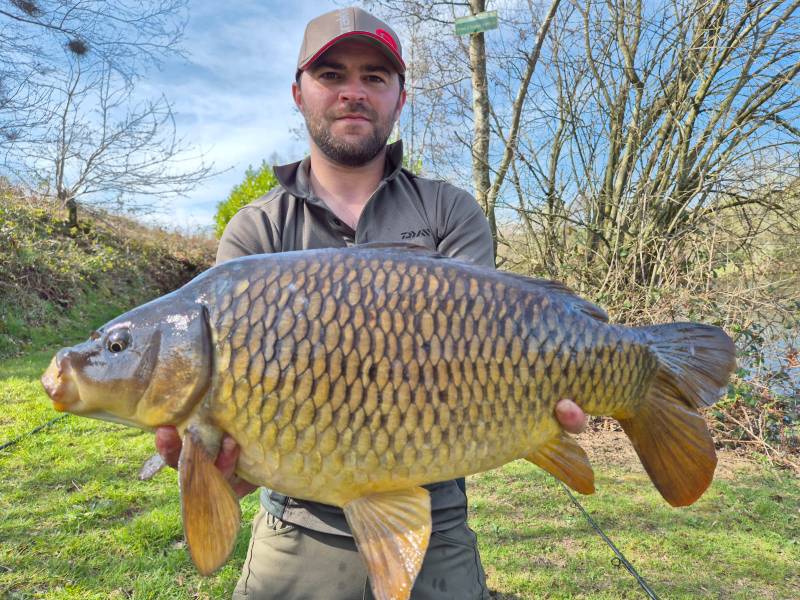 Carp-5