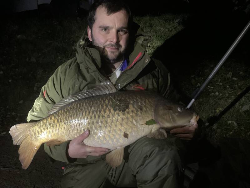 Carp-6