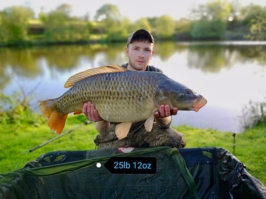 Carp-8