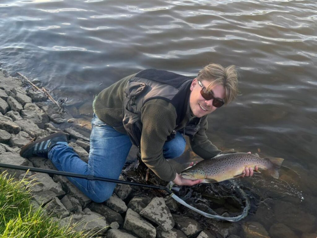 Nice brown trout