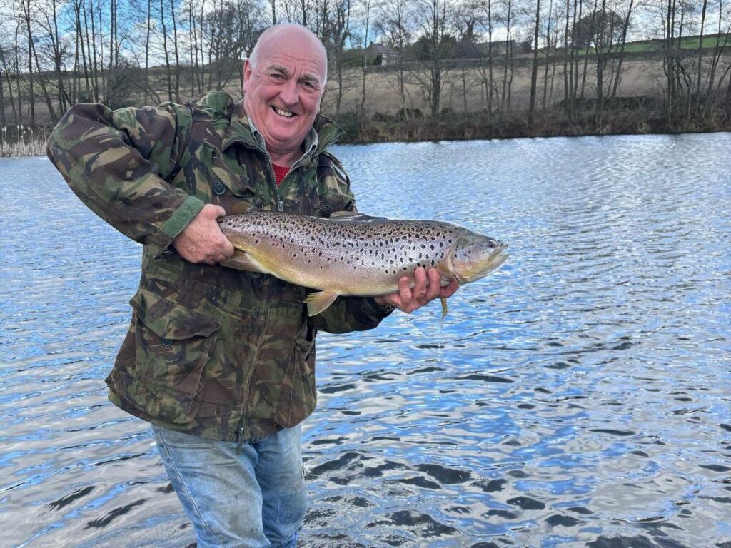 Large brown being stocked