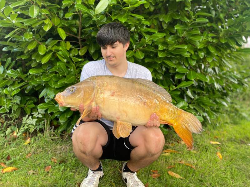 carp-11